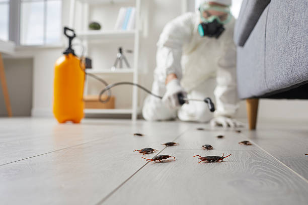 Post-Treatment Bed Bug Interceptor Monitoring in Wurtsboro